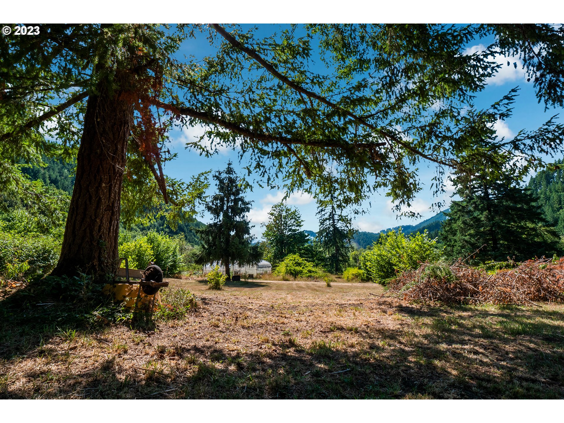 18624 Highway 36 Blachly, OR 97412 - Photo 15 of 46 a view of outdoor space and yard