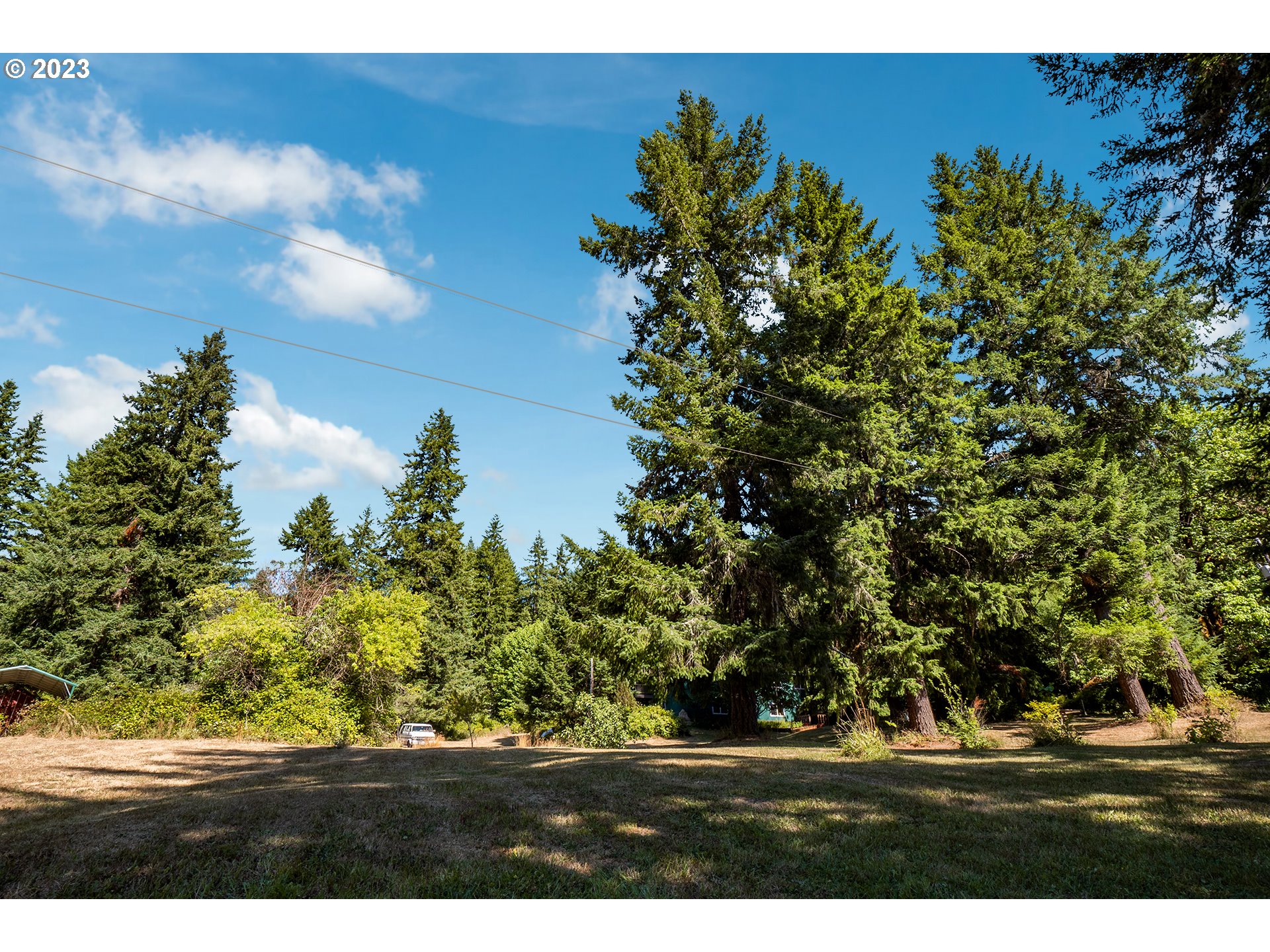 18624 Highway 36 Blachly, OR 97412 - Photo 16 of 46 a view of outdoor space with yard