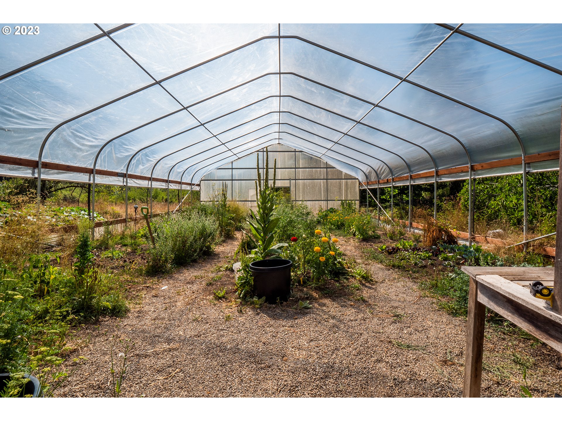 18624 Highway 36 Blachly, OR 97412 - Photo 18 of 46 a view of a patio with table and chairs under an umbrella