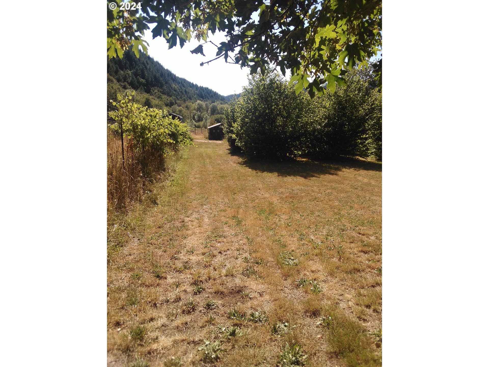18624 Highway 36 Blachly, OR 97412 - Photo 21 of 46 a view of a yard
