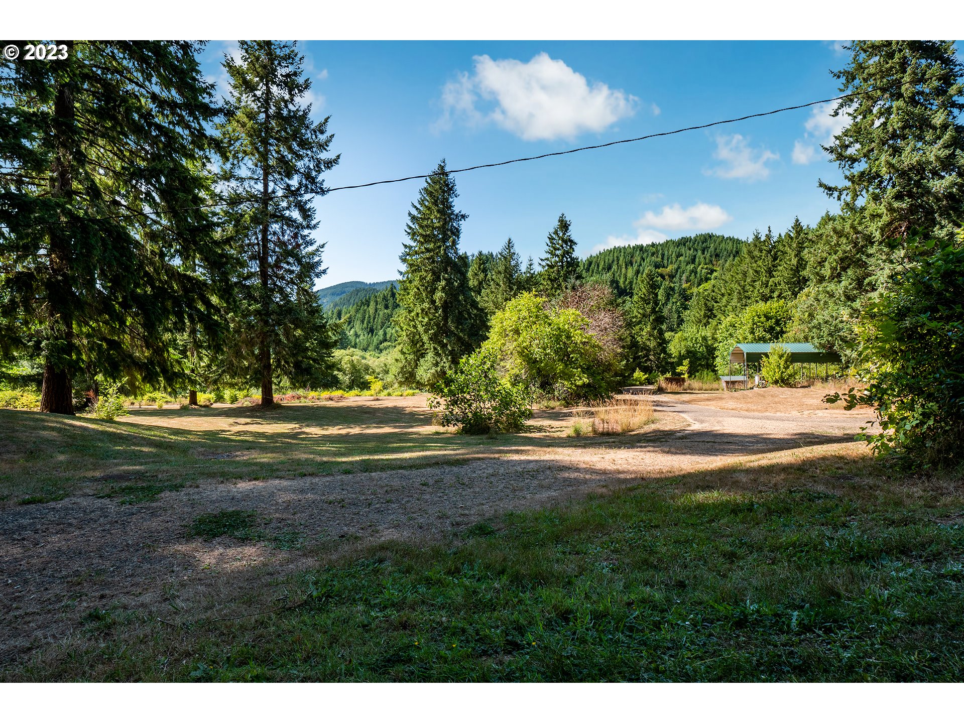 18624 Highway 36 Blachly, OR 97412 - Photo 22 of 46 a view of yard with green space