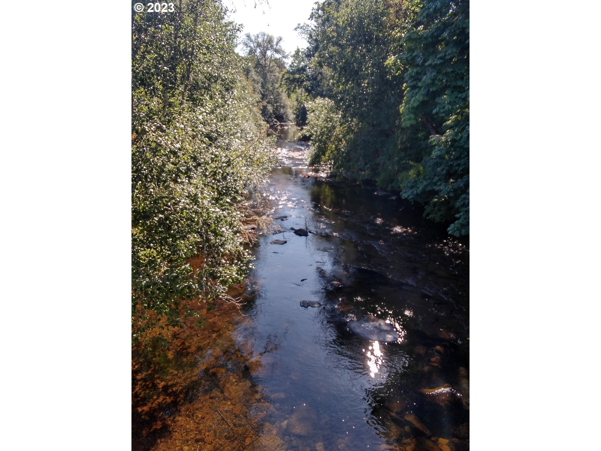 18624 Highway 36 Blachly, OR 97412 - Photo 28 of 46 a picture of street view