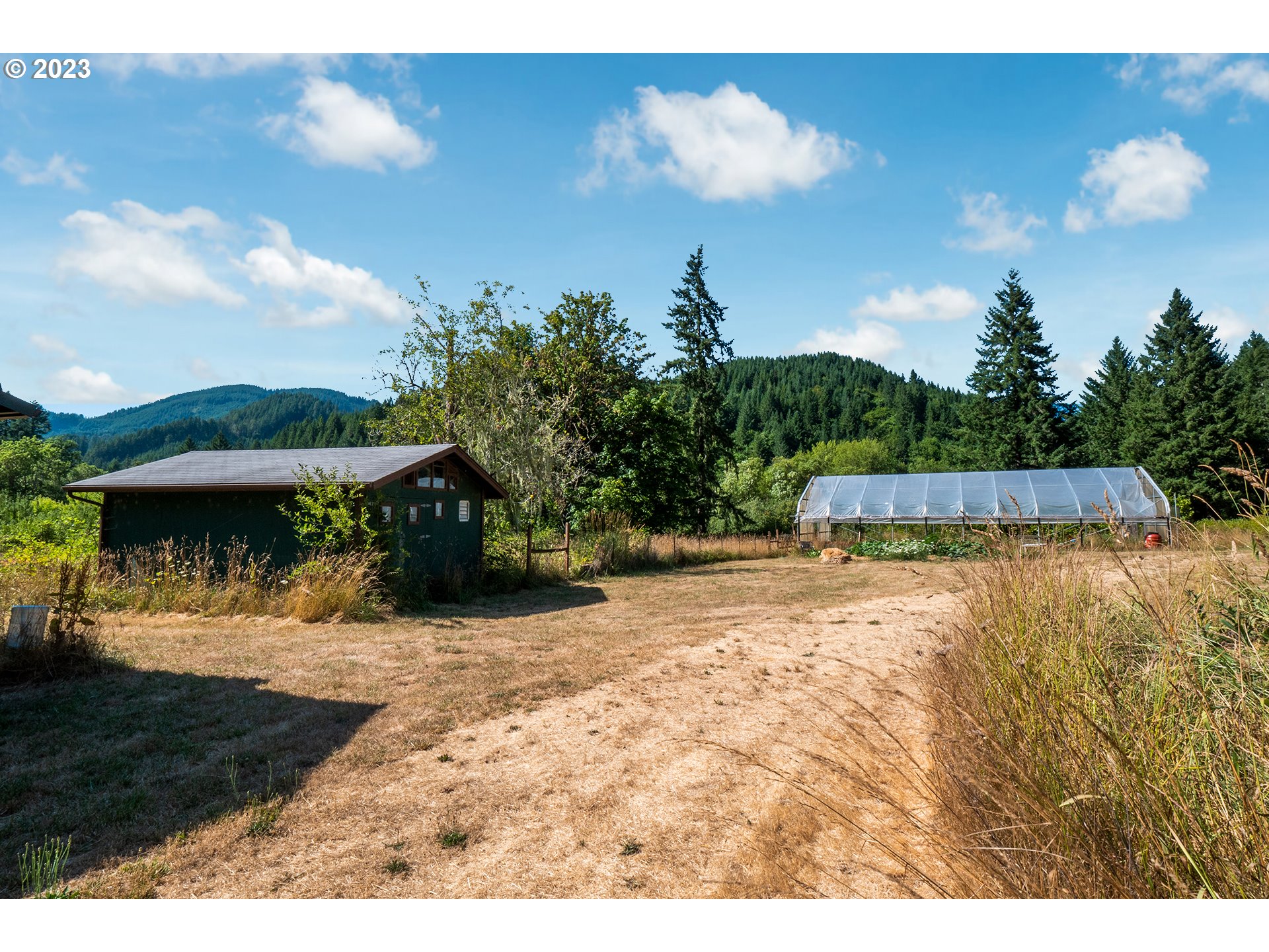 18624 Highway 36 Blachly, OR 97412 - Photo 29 of 46 a view of a backyard