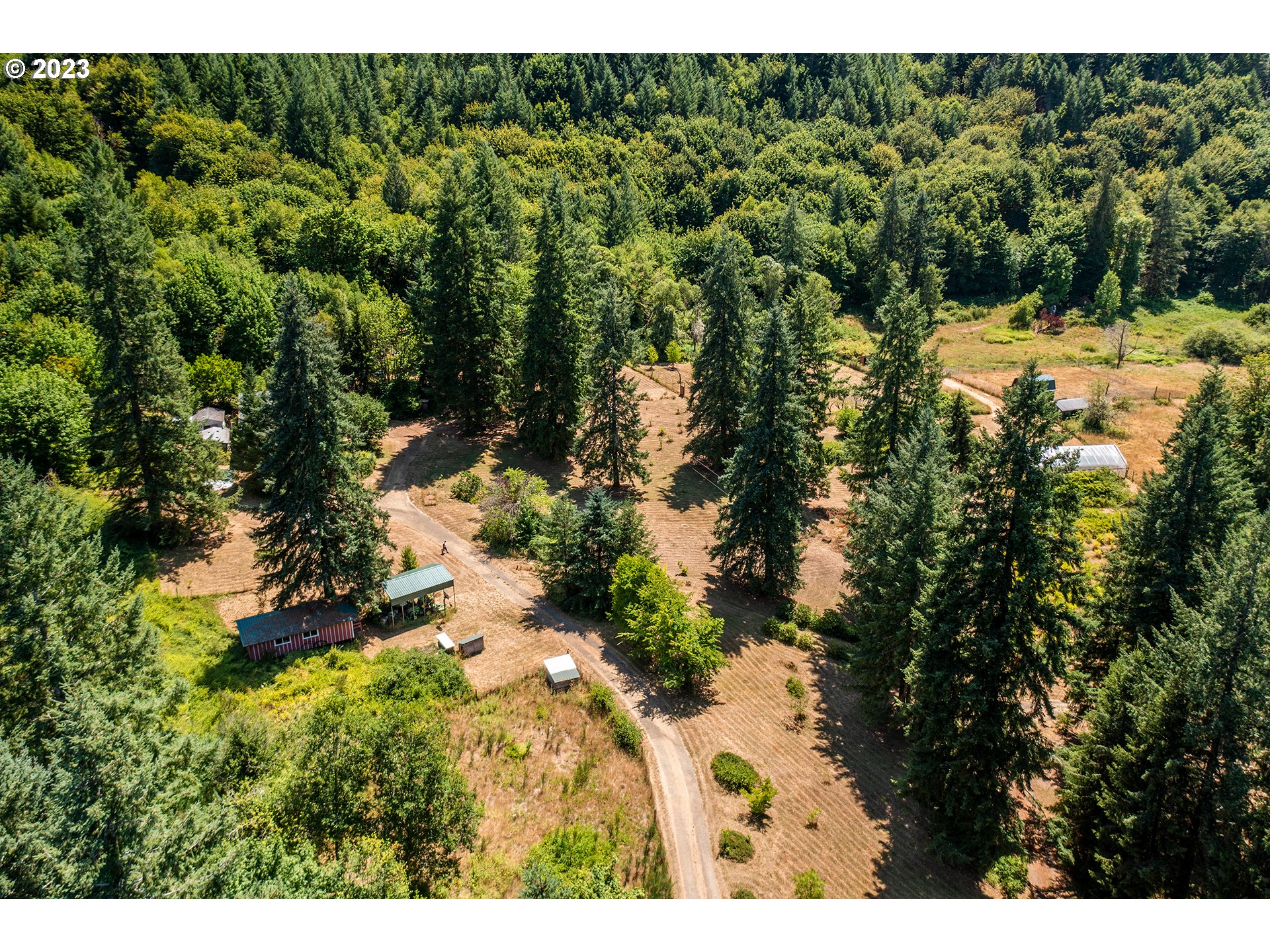 18624 Highway 36 Blachly, OR 97412 - Photo 30 of 46 a view of a yard