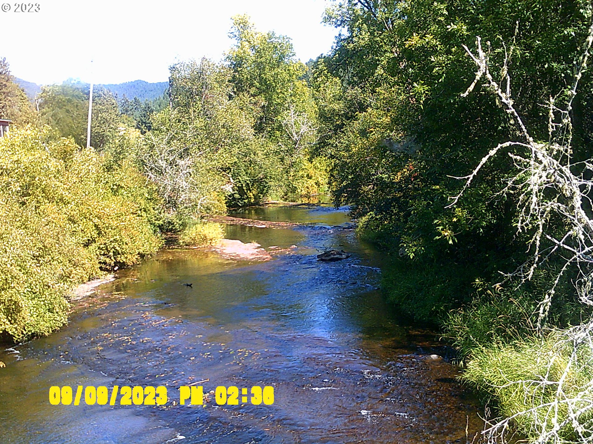 18624 Highway 36 Blachly, OR 97412 - Photo 42 of 46 a view of lake view