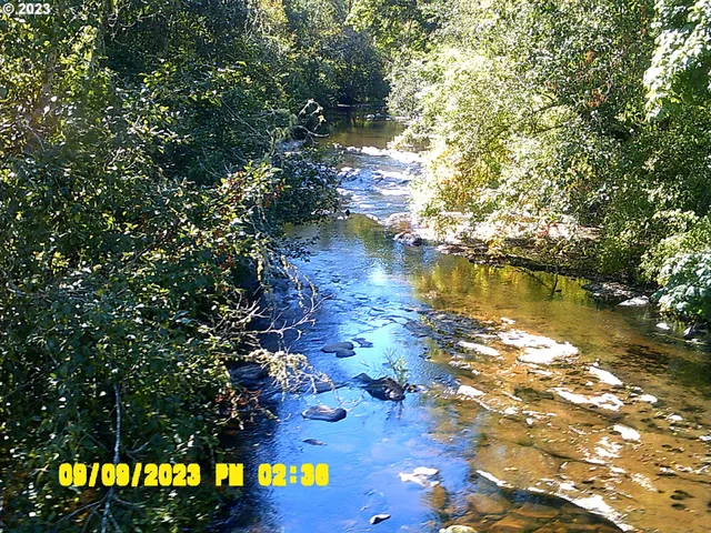 $1,499,000 | 18624 Highway 36, Blachly, OR 97412