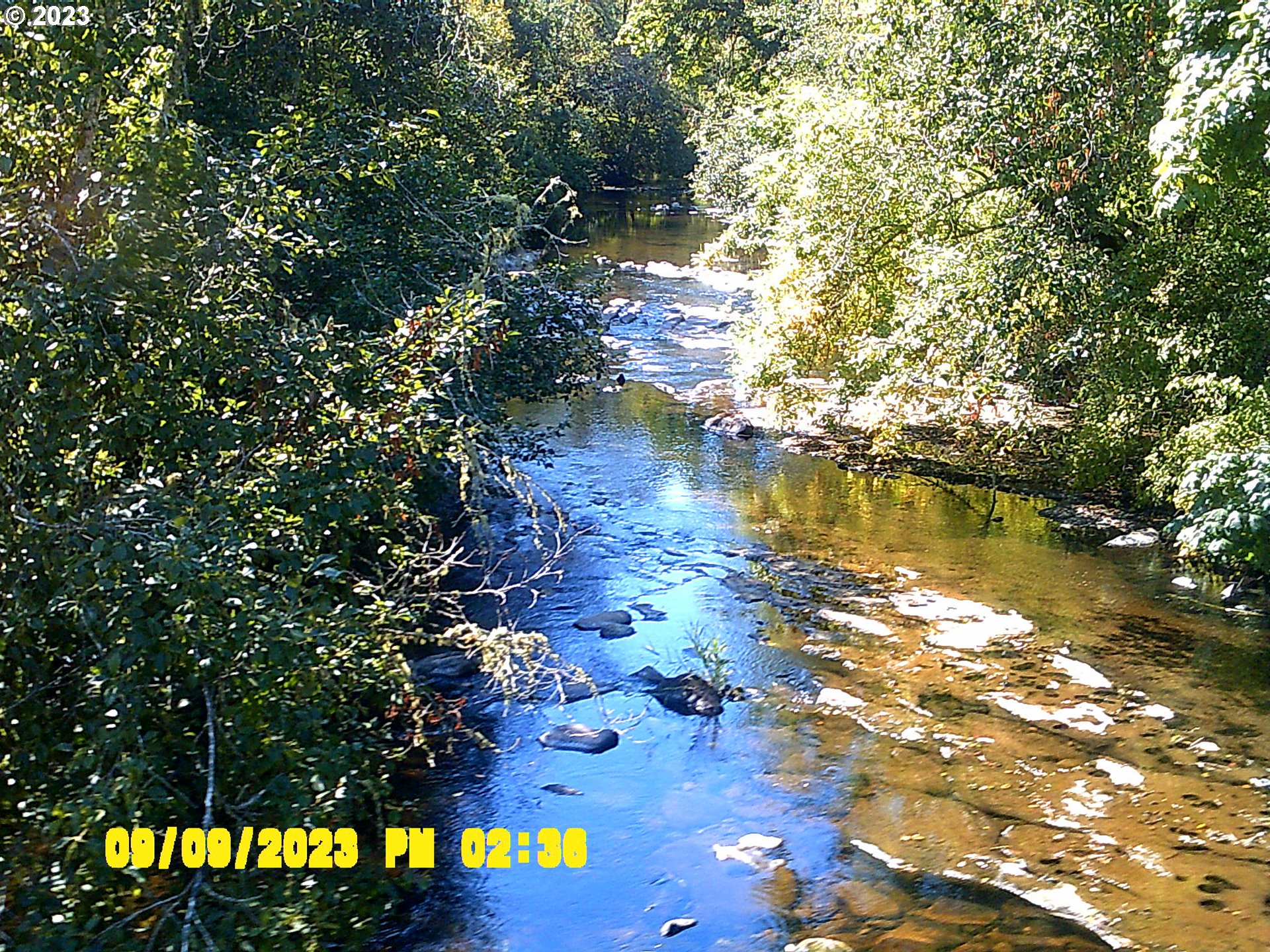 18624 Highway 36 Blachly, OR 97412 - Photo 44 of 46 a view of a lake with a tree
