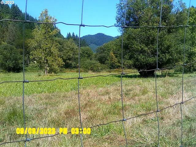 $1,499,000 | 18624 Highway 36, Blachly, OR 97412