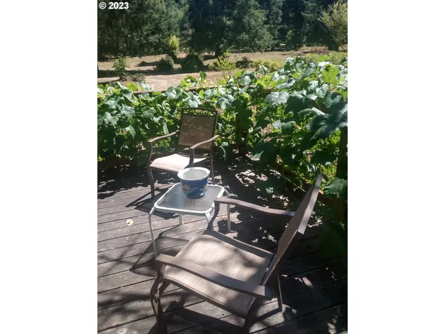 a view of a chairs and table in the patio