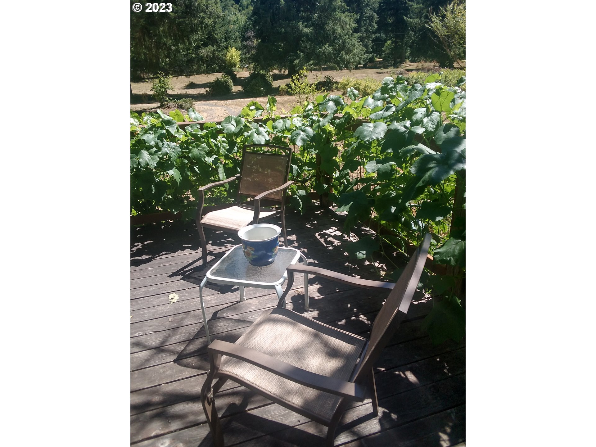 18624 Highway 36 Blachly, OR 97412 - Photo 5 of 46