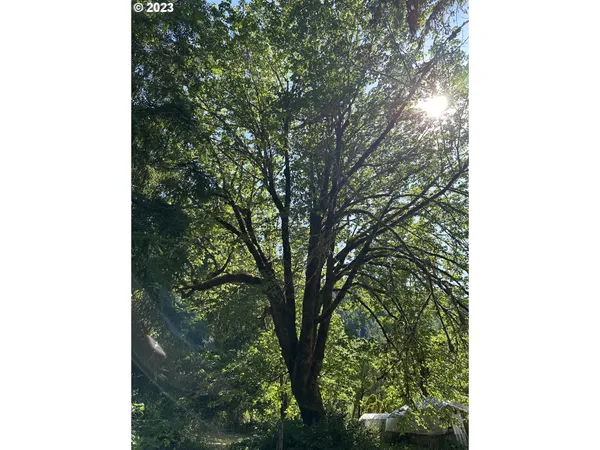 $1,350,000 | 18624 Highway 36, Blachly, OR 97412