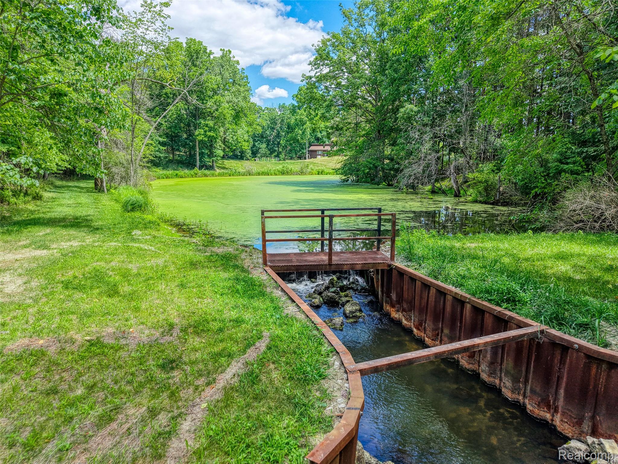 3166 Bigelow Road Howell, MI 48855 - Photo 41 of 50 View of stream