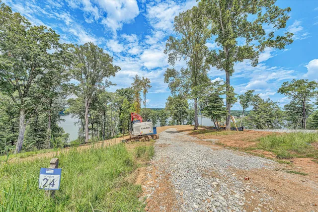 a view of a yard with plants and trees