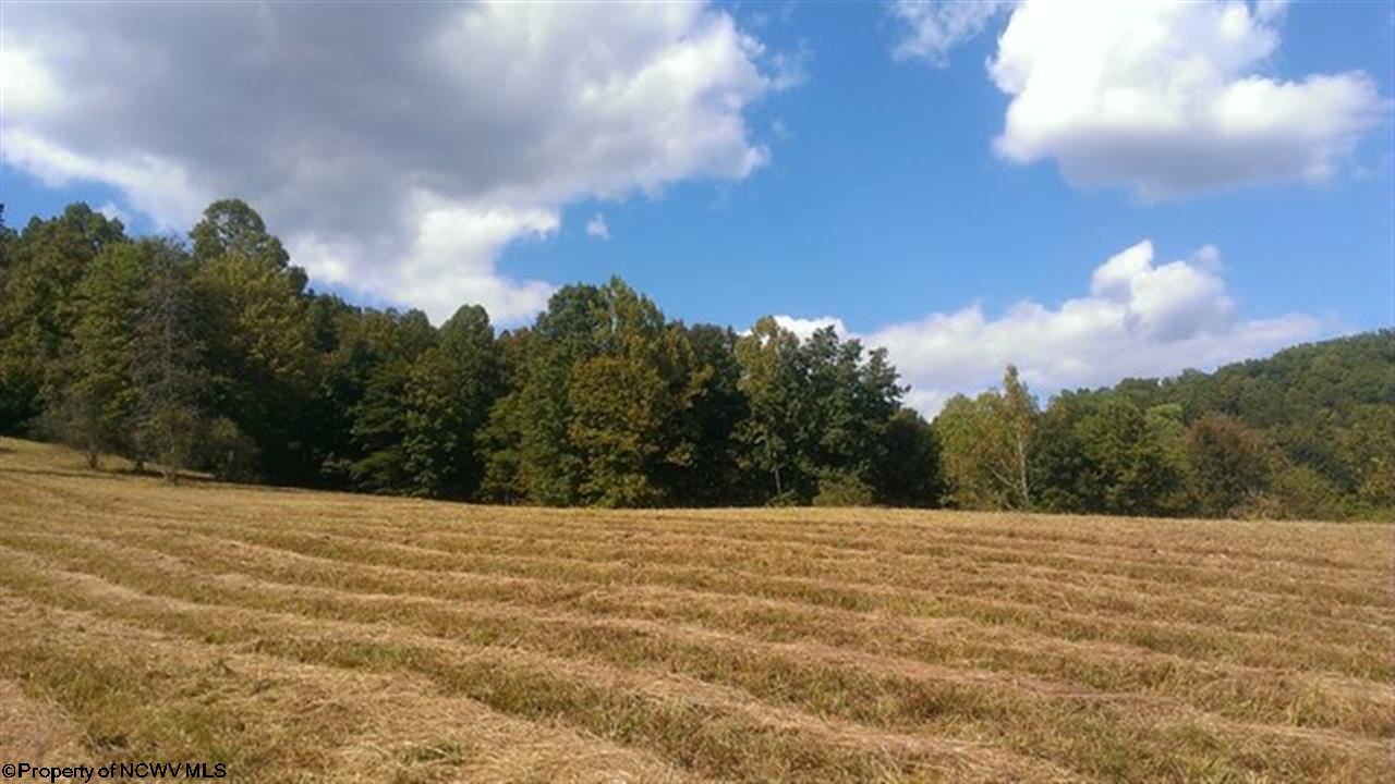 629 Walnut Fork Road Alum Bridge, WV 26321 - Photo 20 of 20 Gallery Image 20