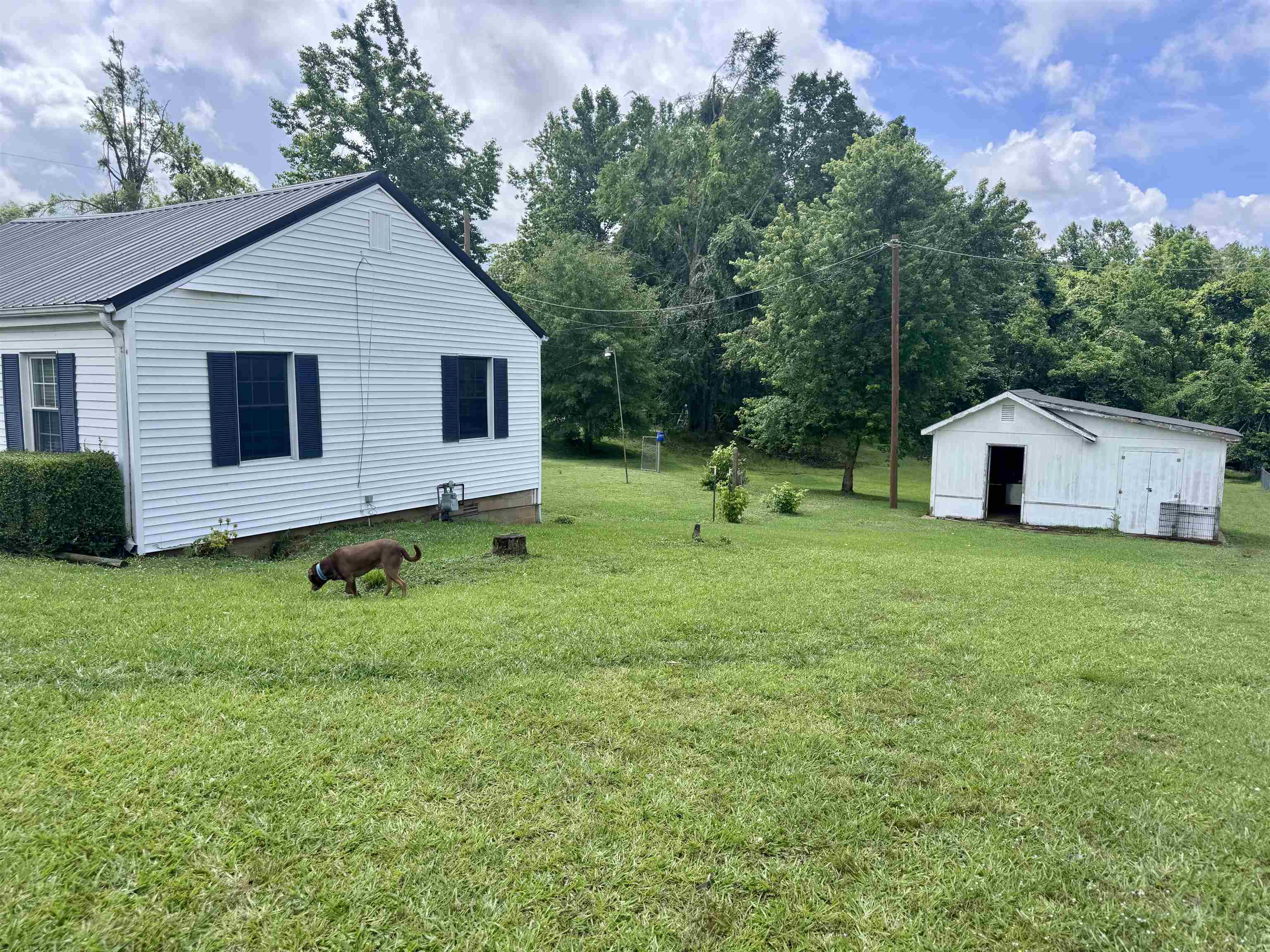 237 Old Shiloh Road Adamsville, TN 38310 - Photo 9 of 11 a front view of house with a garden