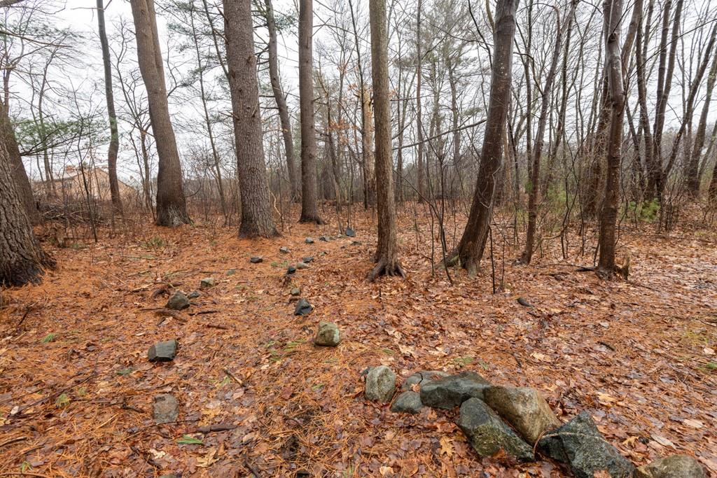 17 Bush Hill Road Ipswich, MA 01938 - Photo 42 of 42 Gallery Image 42
