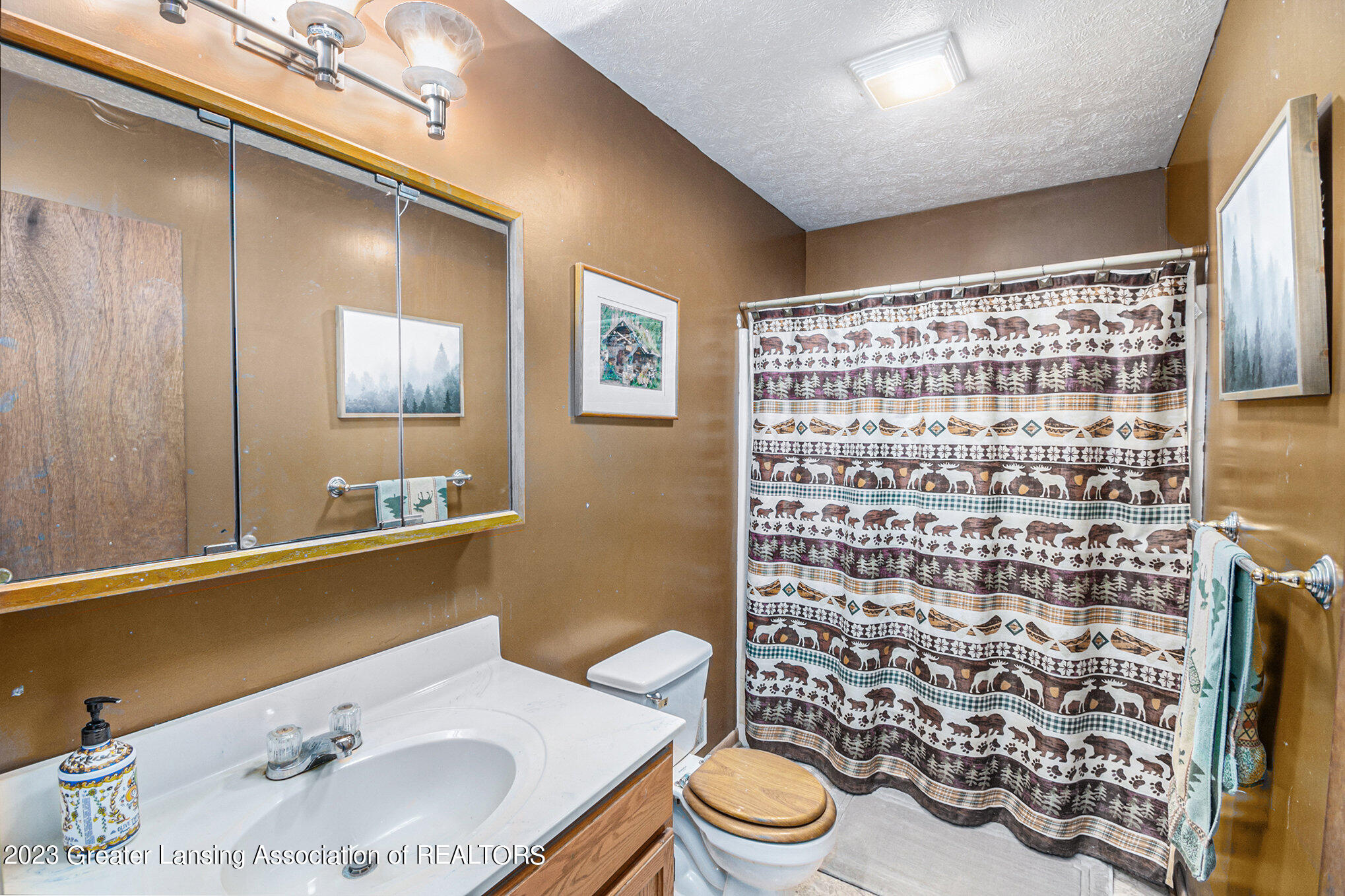 7781 North Scott Road St. Johns, MI 48879 - Photo 19 of 29 035_ndp8918