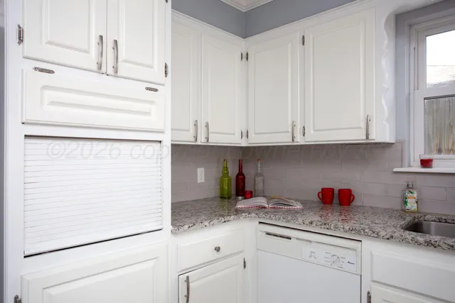 a kitchen with stainless steel appliances white cabinets and a potted plant