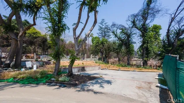 a view of a park with palm trees
