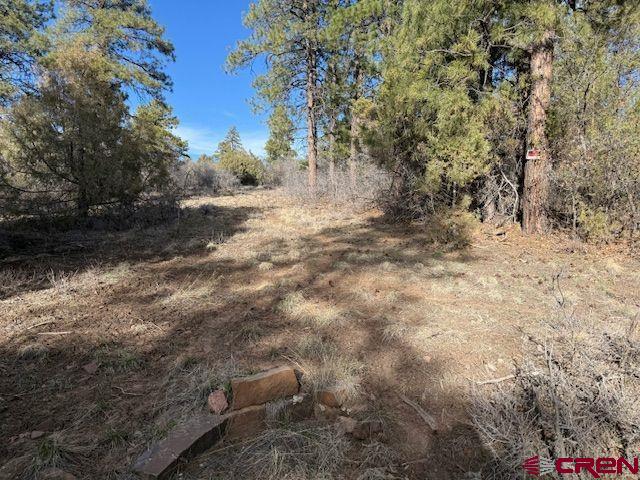 495 Justin's Road Pagosa Springs, CO 81147 - Photo 1 of 20 Gallery Image 1