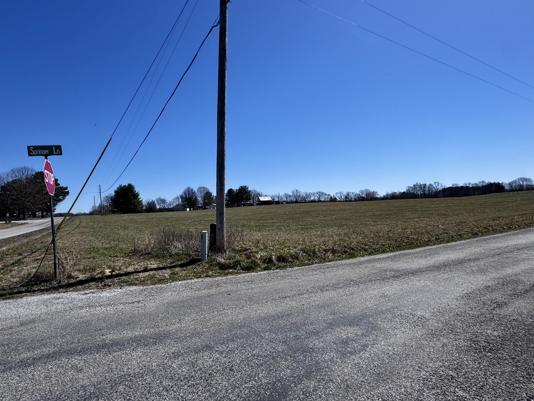 0 Shackelford Road Leoma, TN 38468 - Photo 5 of 5 Gallery Image 5
