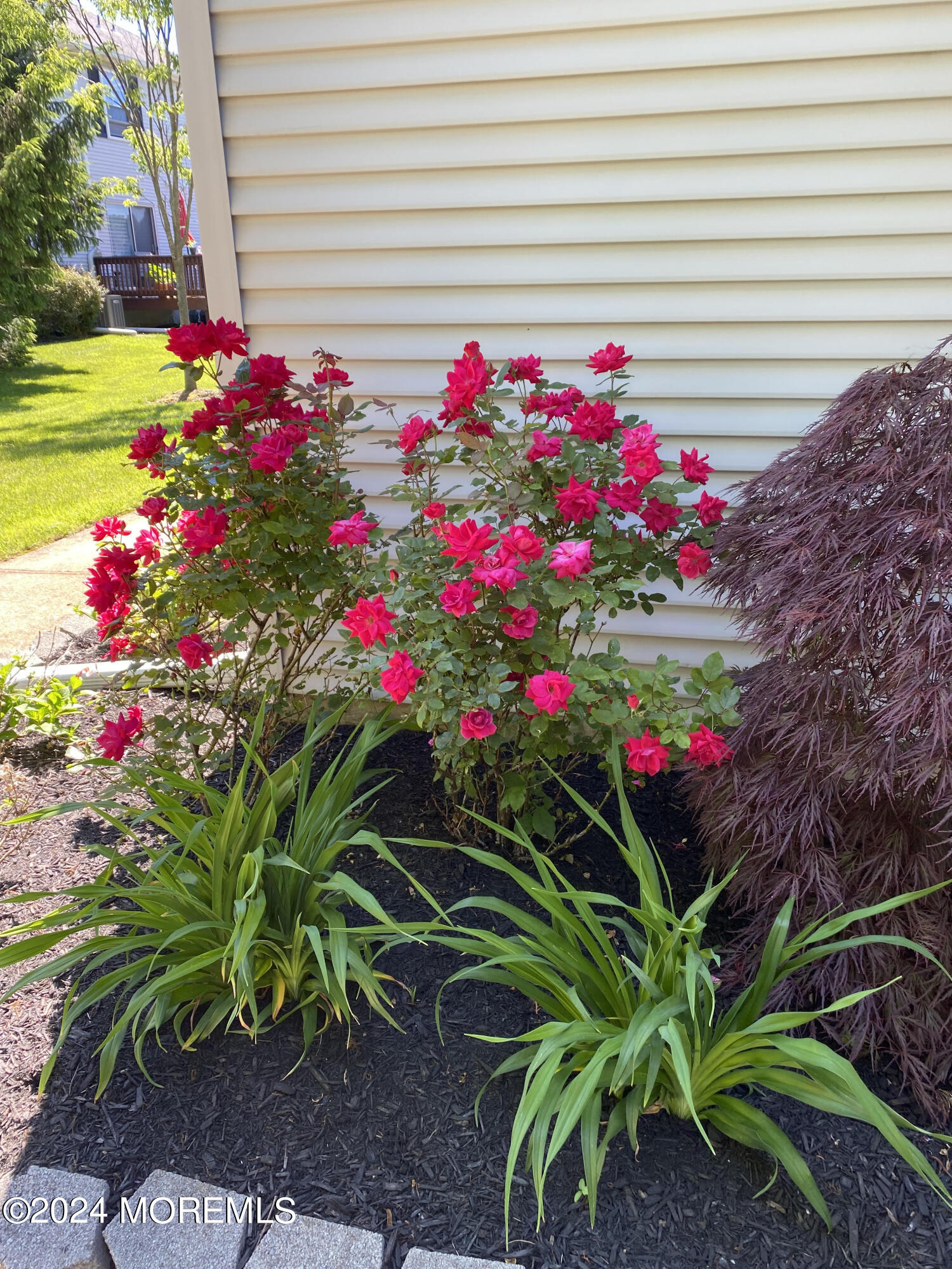 10 Racquet Road Belmar, NJ 07719 - Photo 23 of 23 plants