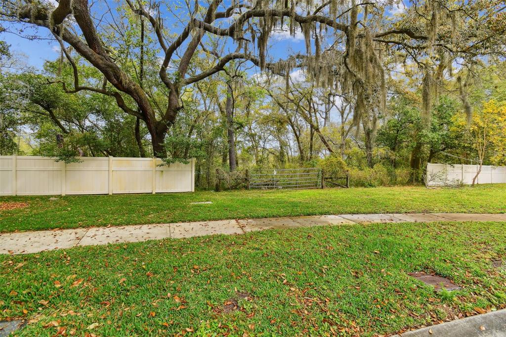 Mccrea Drive Lutz, FL 33549 - Photo 28 of 33