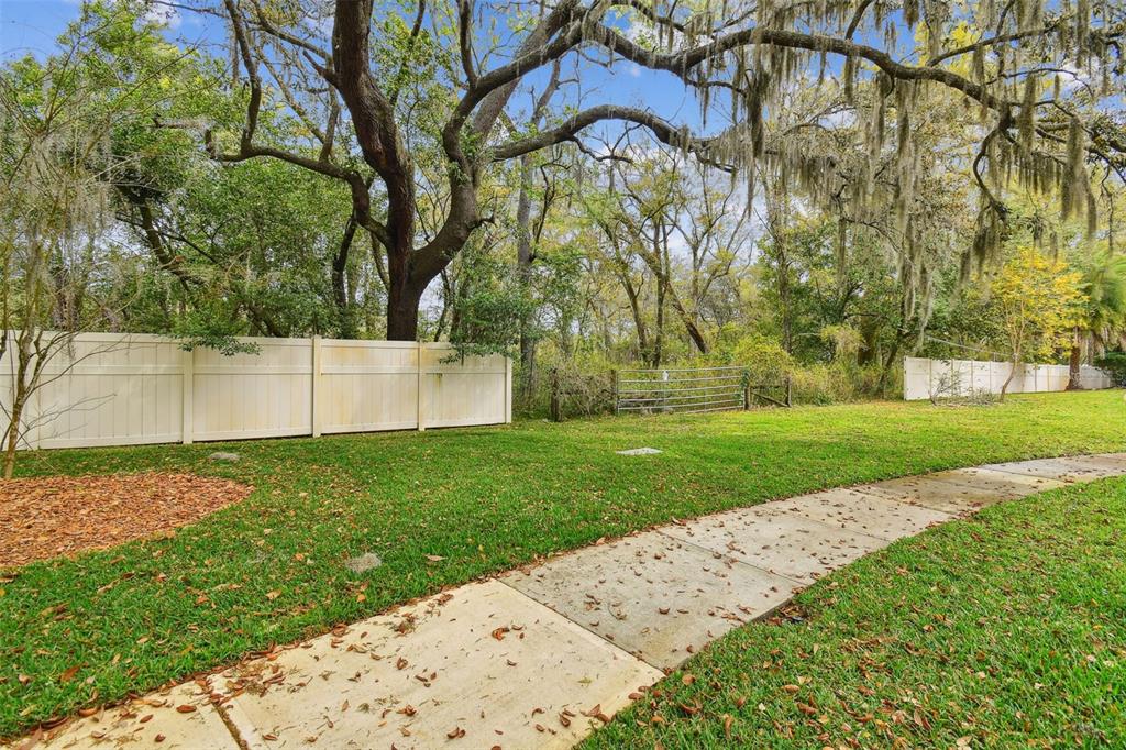 Mccrea Drive Lutz, FL 33549 - Photo 29 of 33