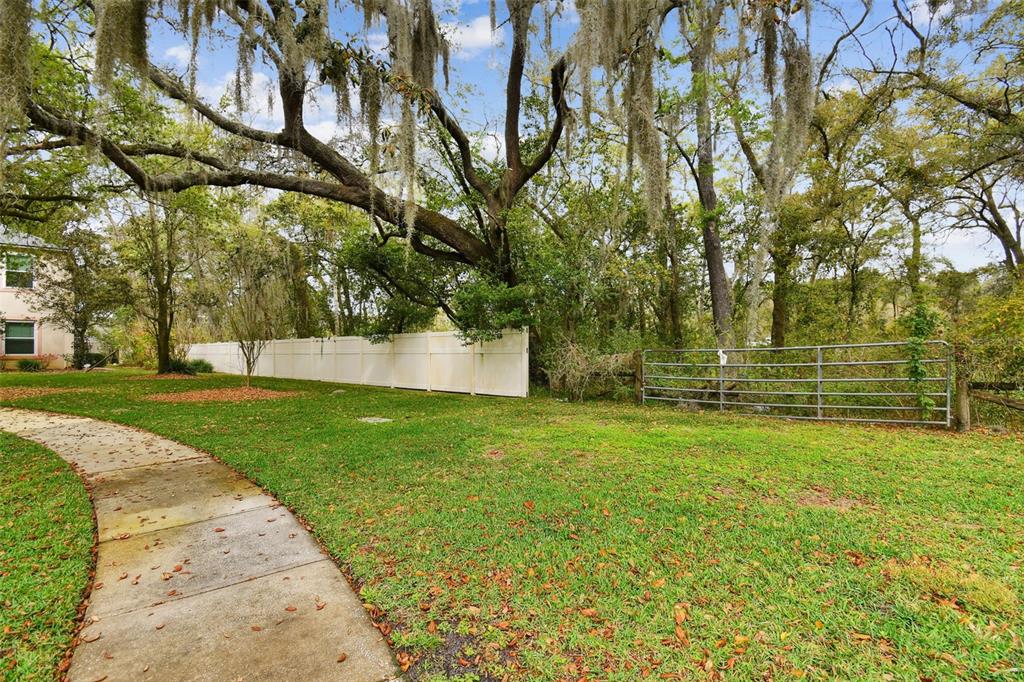 Mccrea Drive Lutz, FL 33549 - Photo 30 of 33