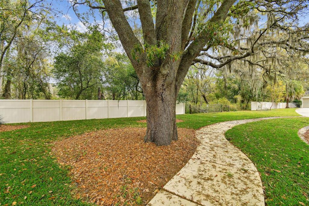 Mccrea Drive Lutz, FL 33549 - Photo 31 of 33