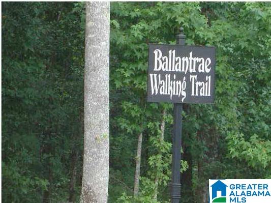 108 Lauchlin Way Pelham, AL 35124 - Photo 47 of 48