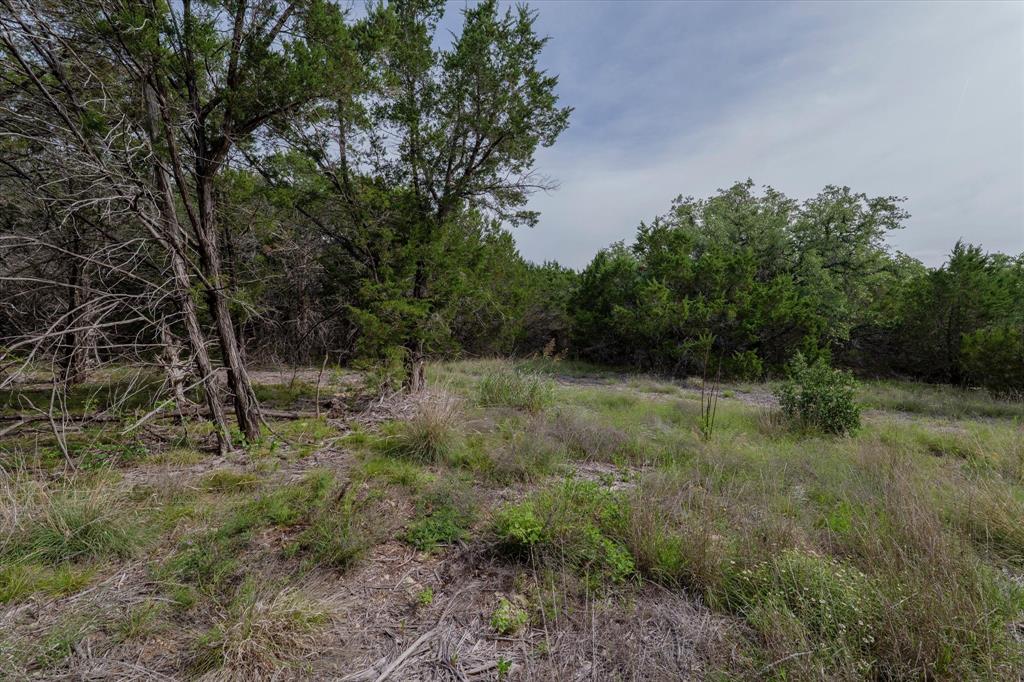 Tbd Mustang Road Purmela, TX 76566 - Photo 9 of 11 a view of outdoor space and green field
