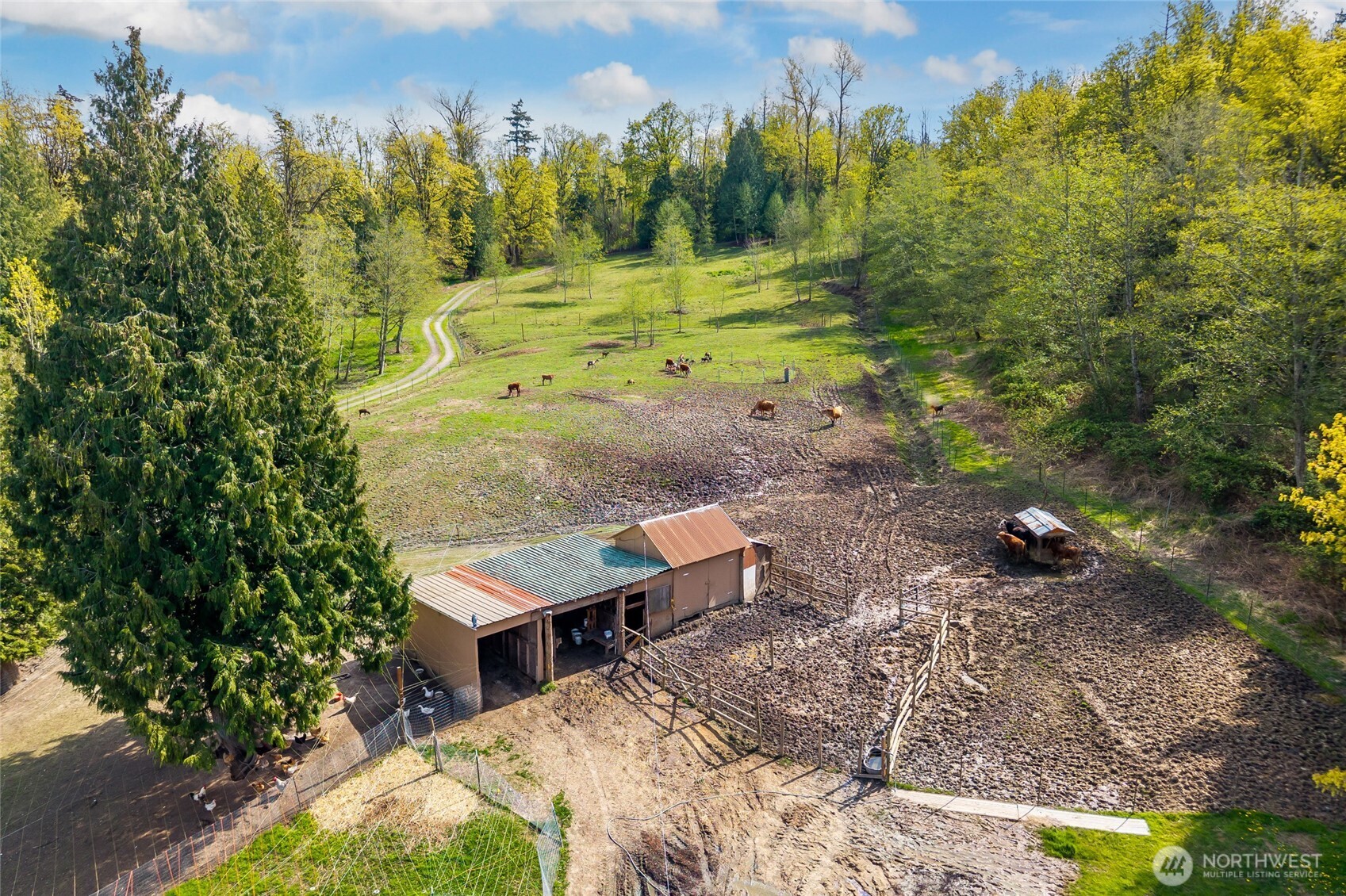 3753 Bay Road Ferndale, WA 98248 - Photo 30 of 38