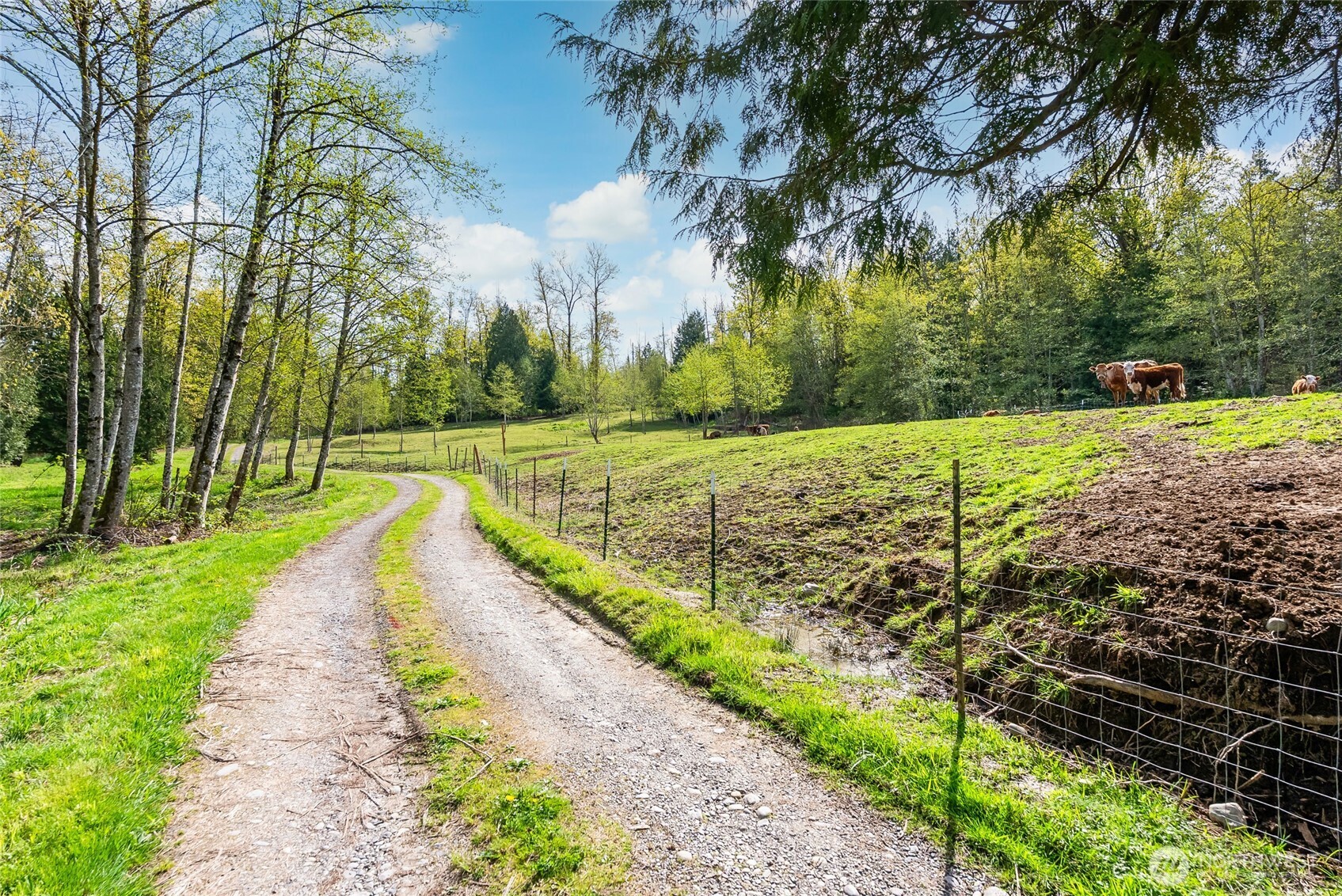 3753 Bay Road Ferndale, WA 98248 - Photo 35 of 38