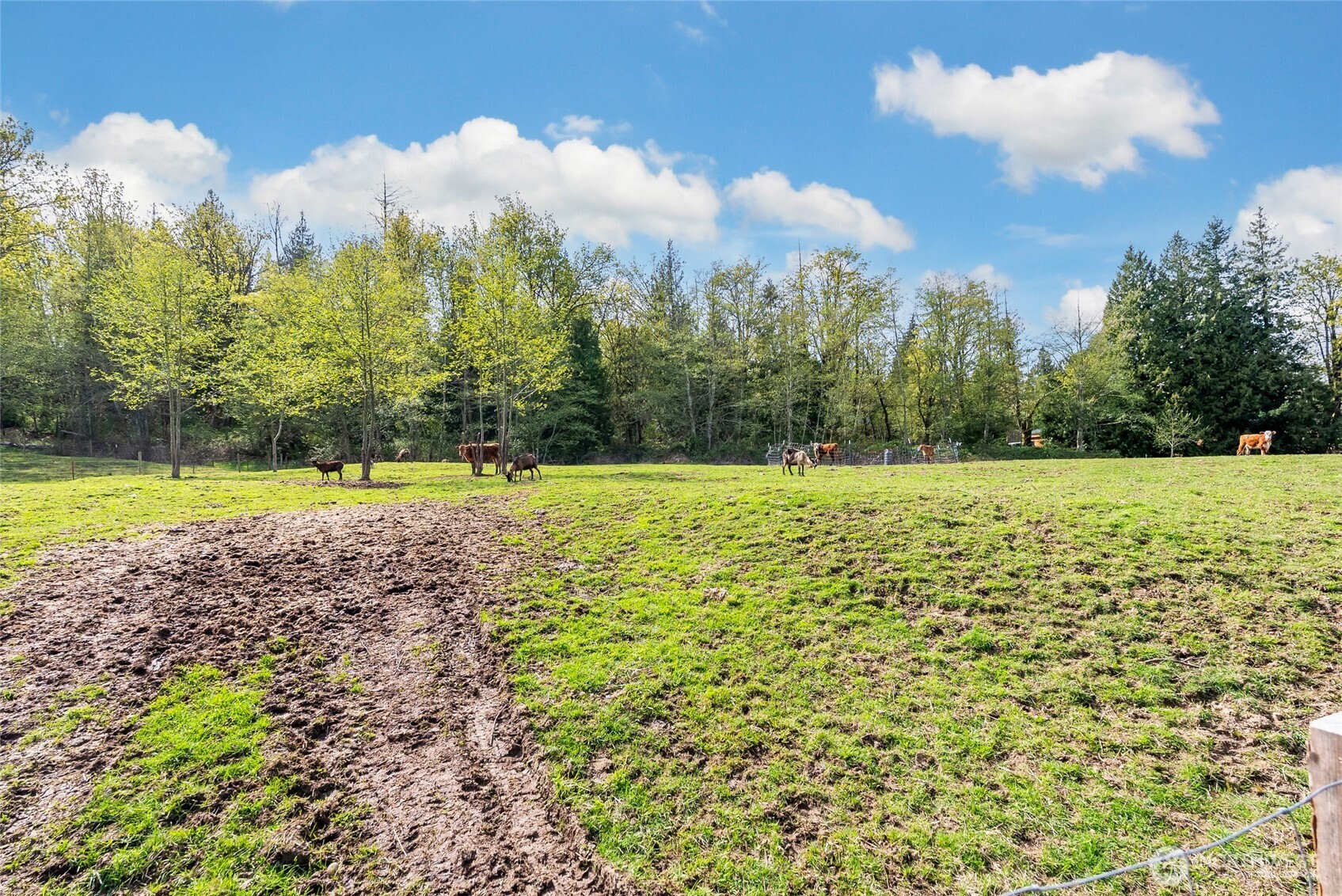 3753 Bay Road Ferndale, WA 98248 - Photo 36 of 38