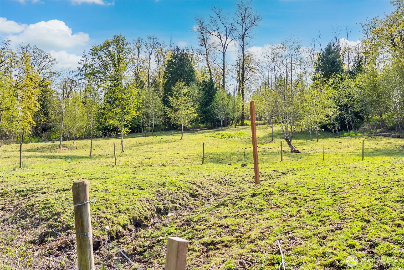 3753 Bay Road Ferndale, WA 98248 - Photo 37 of 38