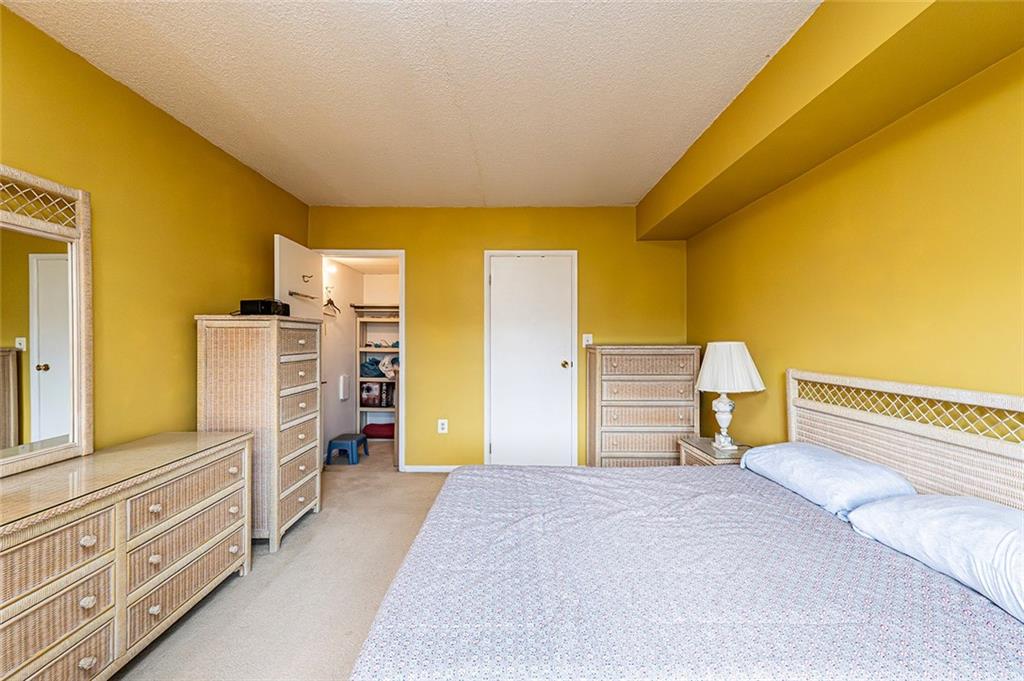 520 Washington Road, Unit 501 Pittsburgh, PA 15228 - Photo 19 of 27 BEDROOM & WALK-IN CLOSET