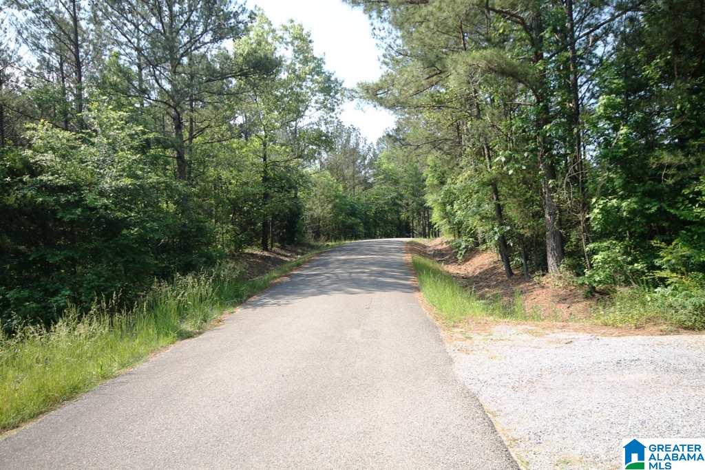 2654 Mayfield Road, Unit 4 44 Lincoln, AL 35096 - Photo 11 of 17