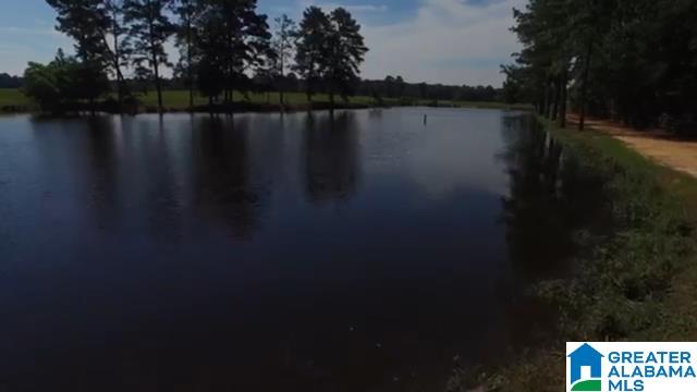 1854 Claud Fleahop Road, Unit 129 4 Eclectic, AL 36024 - Photo 3 of 50