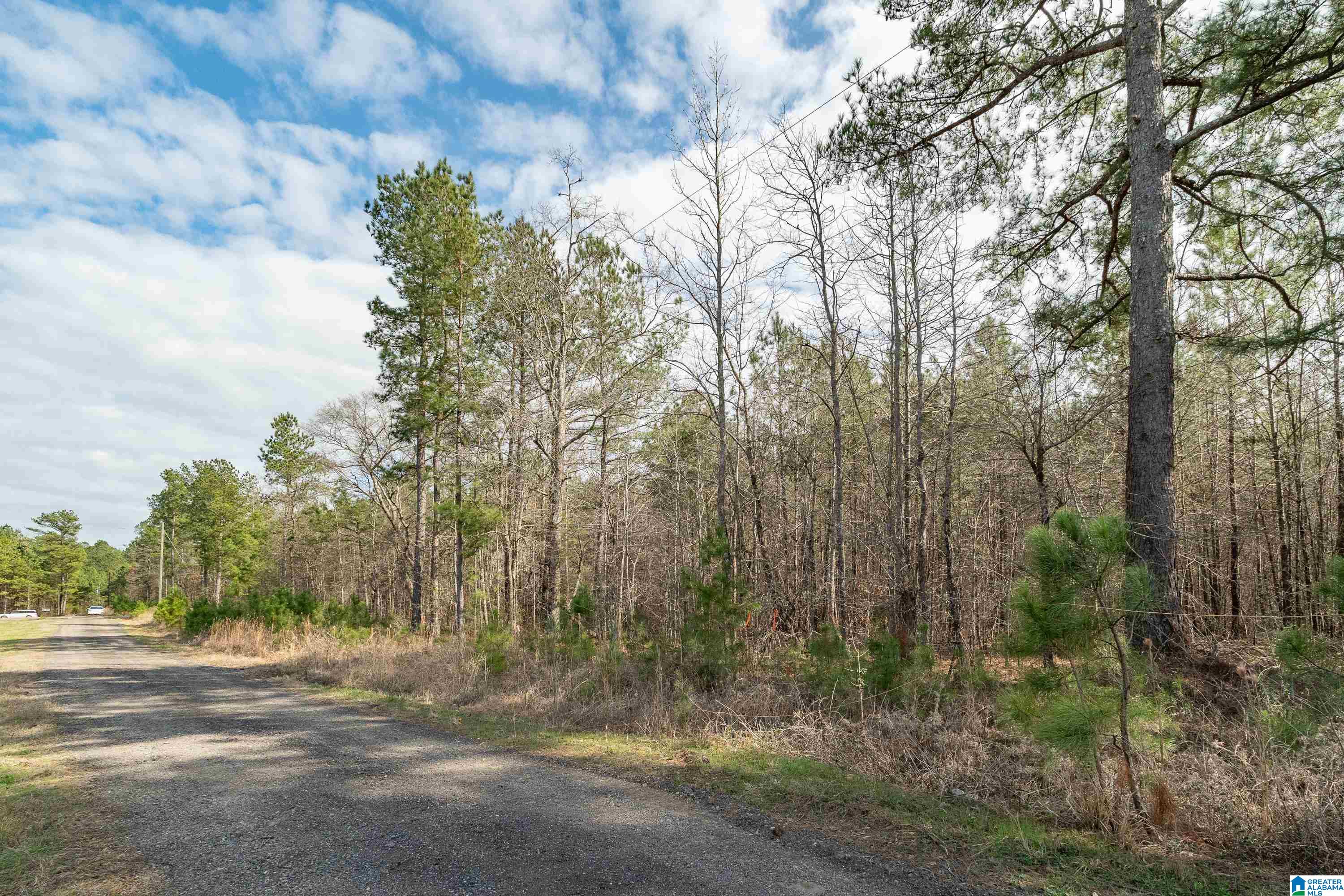 7 Fisher Phillips, Unit 7 Ashville, AL 35953 - Photo 21 of 28