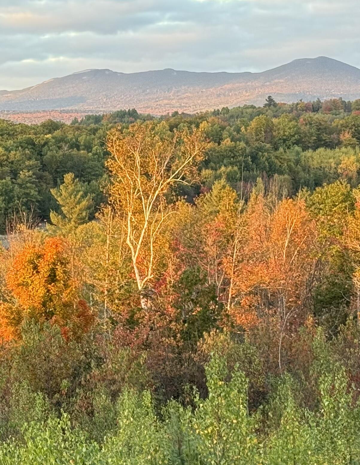 149 Airport Road Phillips, ME 04966 - Photo 8 of 16