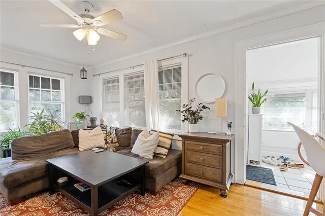 a living room with furniture and a potted plant