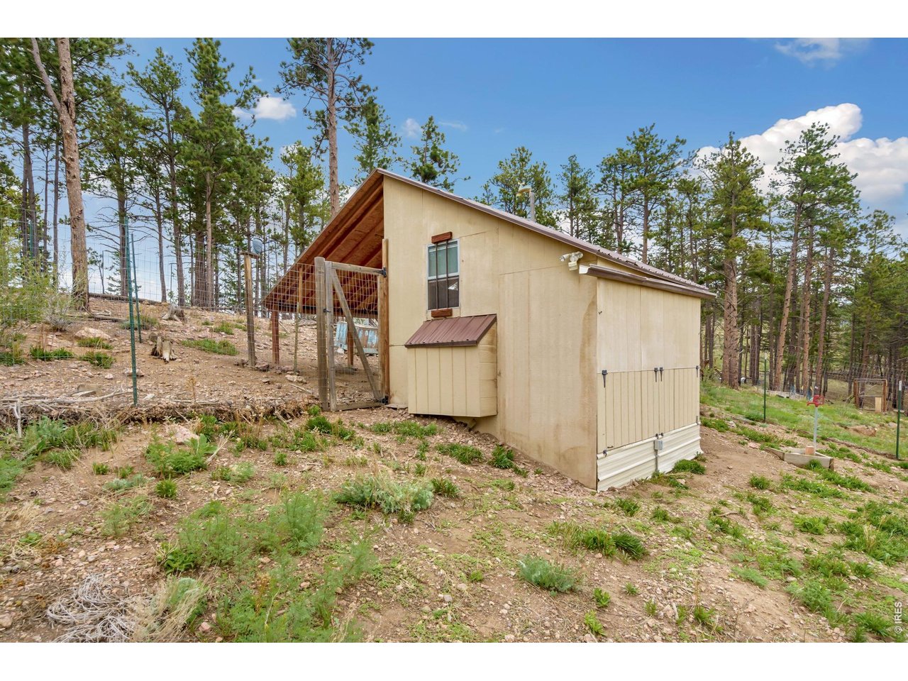 2051 Stove Prairie Road Bellvue, CO 80512 - Photo 44 of 50 Chicken coop