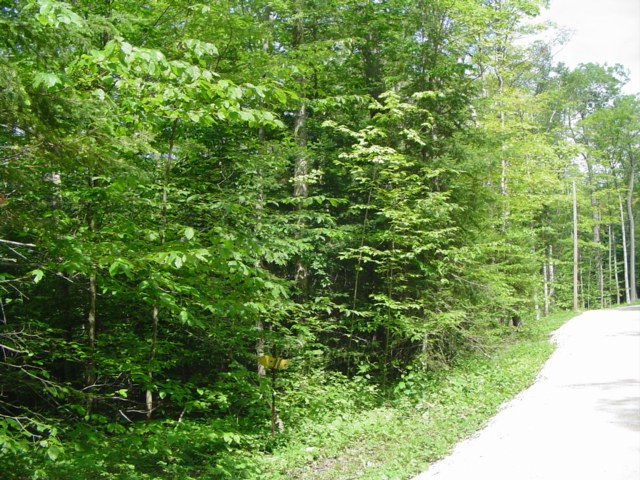 T/b/d Cedar Dell Road Ellison Bay, WI 54210 - Photo 2 of 4