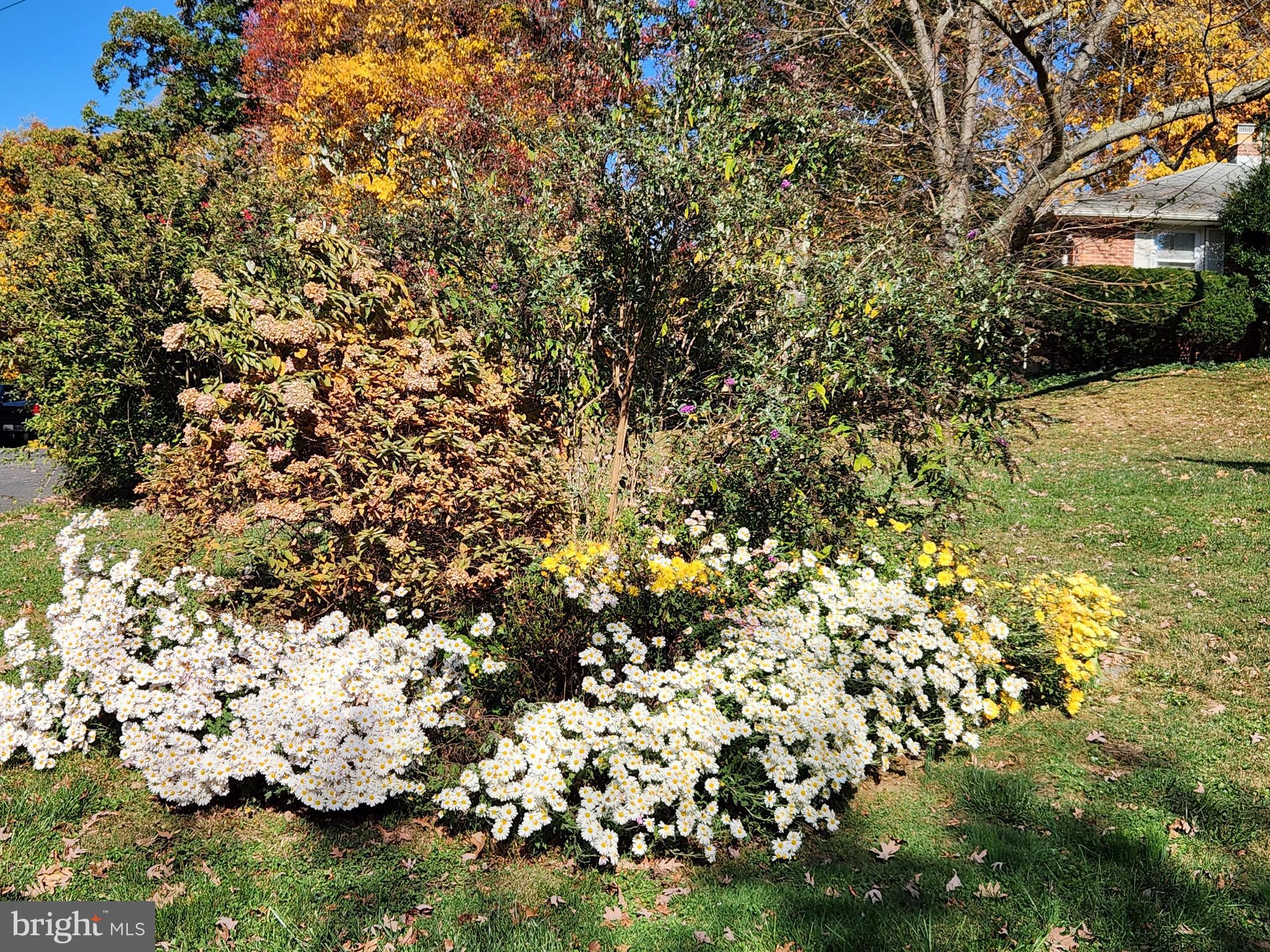 2911 Nelson Lane Fallston, MD 21047 - Photo 73 of 85 a view of a bunch of flowers