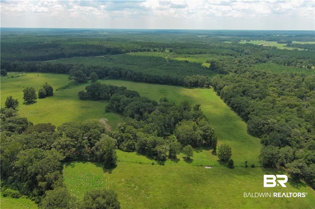 0 Circle R Farm Drive Florala, AL 36442 - Photo 14 of 25