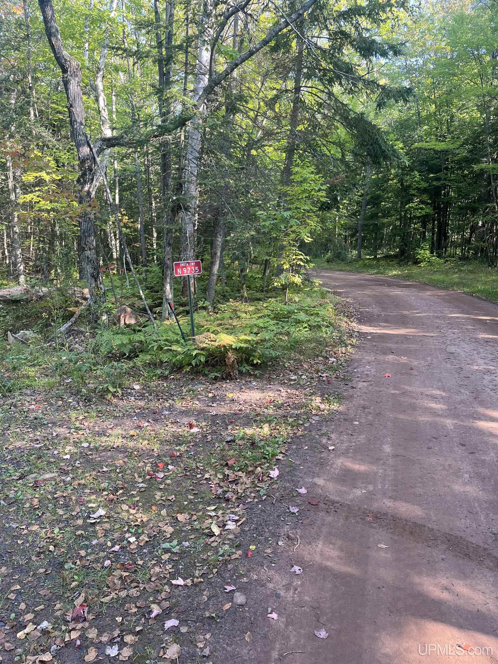 12-acres Lake Superior Point Road Deerton, MI 49822 - Photo 6 of 50