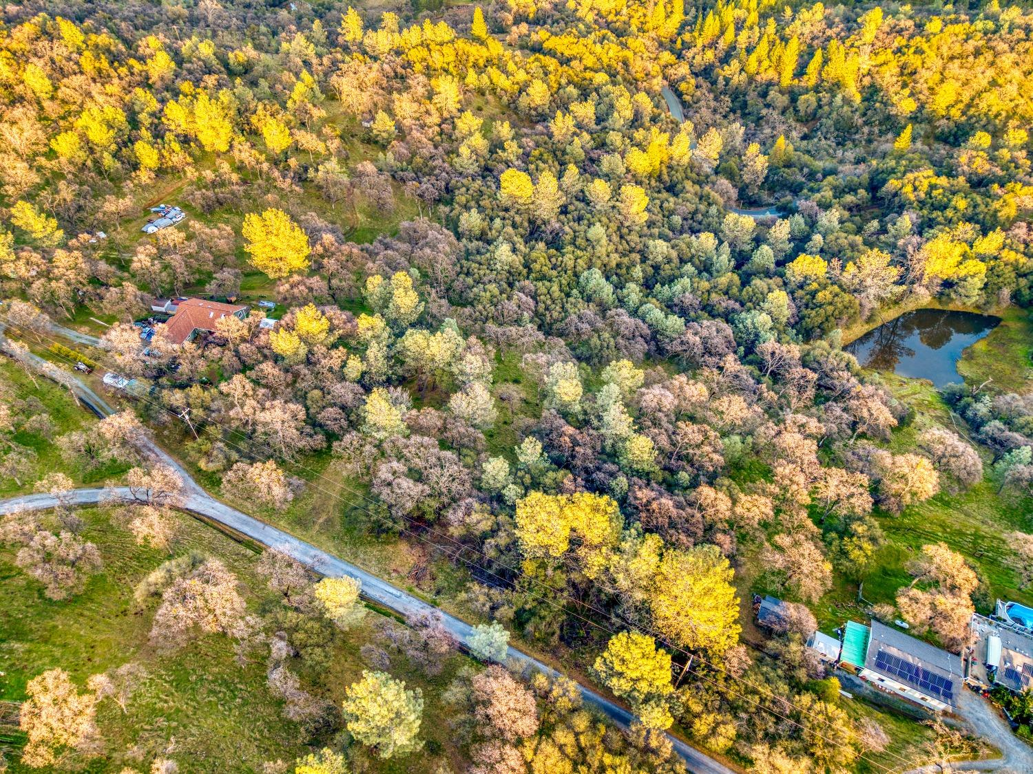 5 Blarney Way Pilot Hill, CA 95664 - Photo 11 of 15