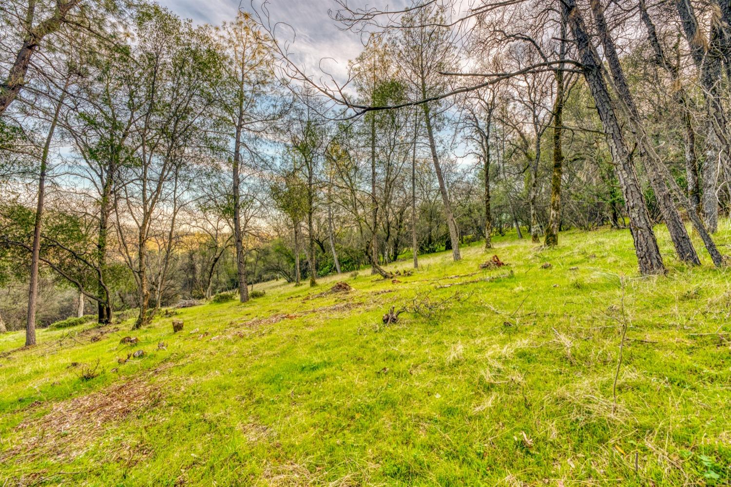 5 Blarney Way Pilot Hill, CA 95664 - Photo 2 of 15