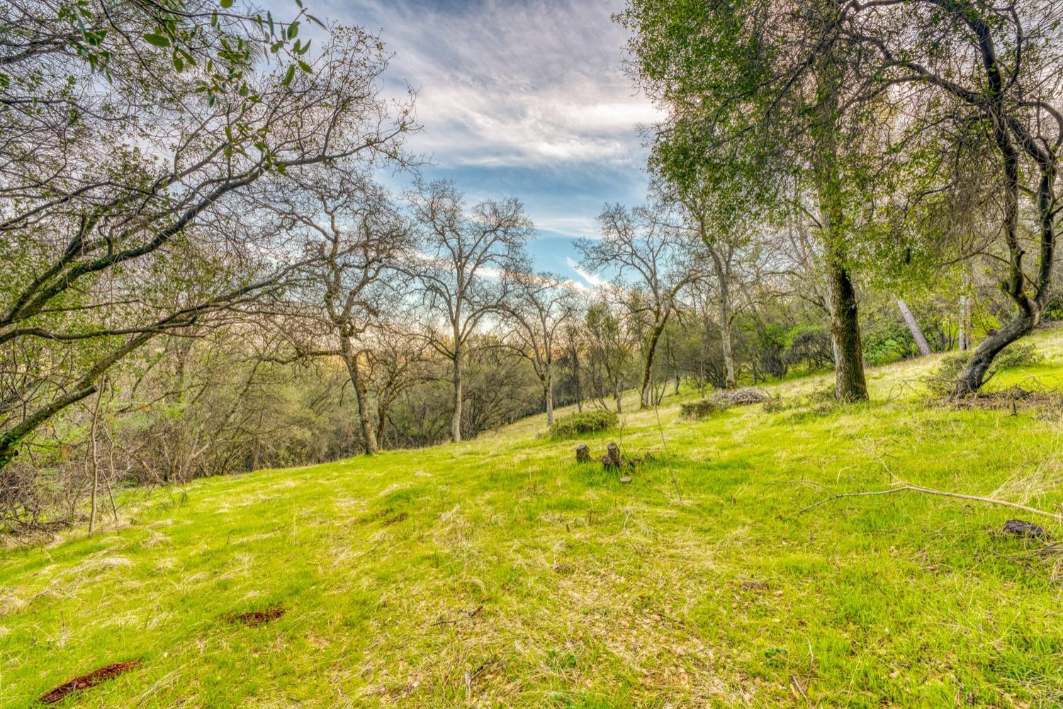 5 Blarney Way Pilot Hill, CA 95664 - Photo 3 of 15